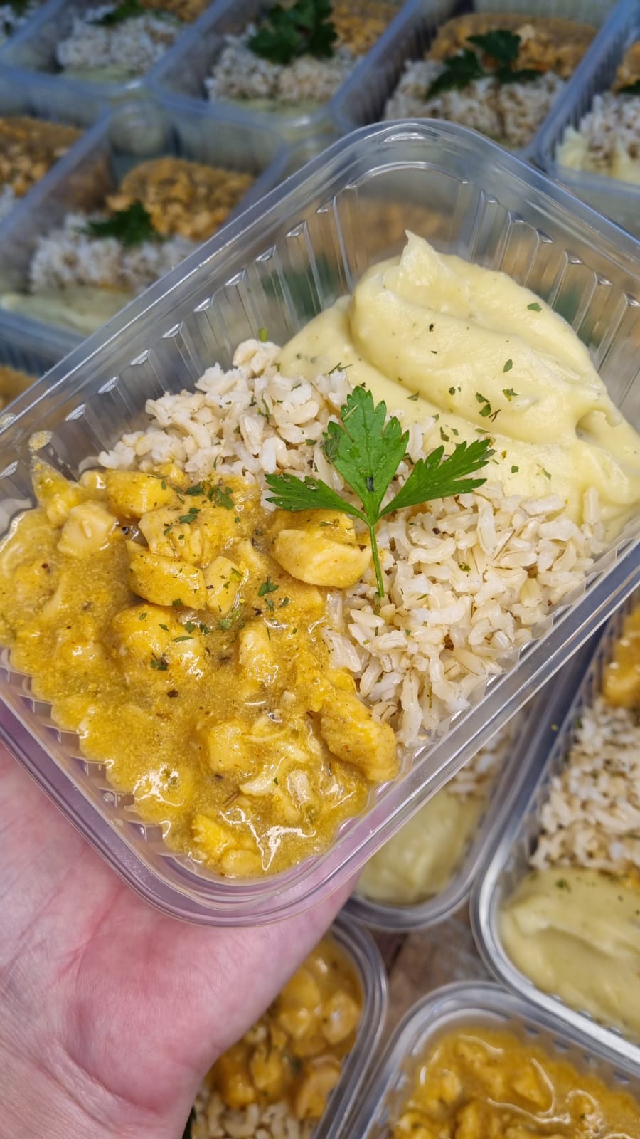 Marmita 4: Strogonoff de frango, arroz integral e purê de batata-doce - Casa Verde Foz do Iguaçu